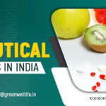ferrous ascorbate and folic acid tablets manufacturer in India
