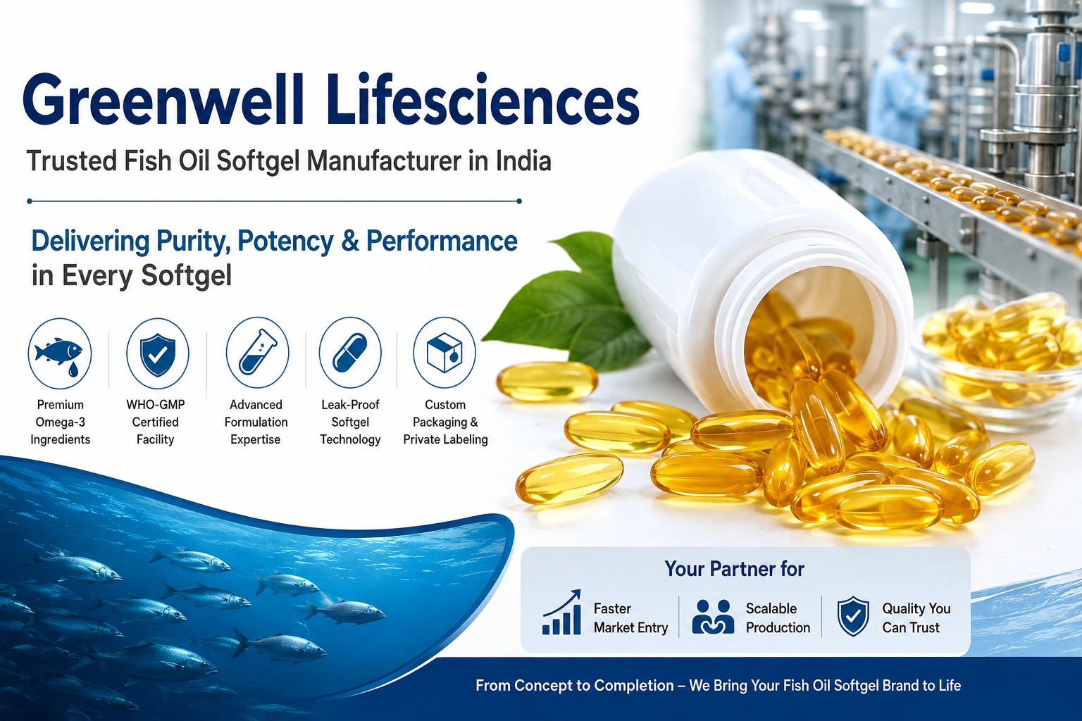 Fish Oil Softgel Manufacturer in India