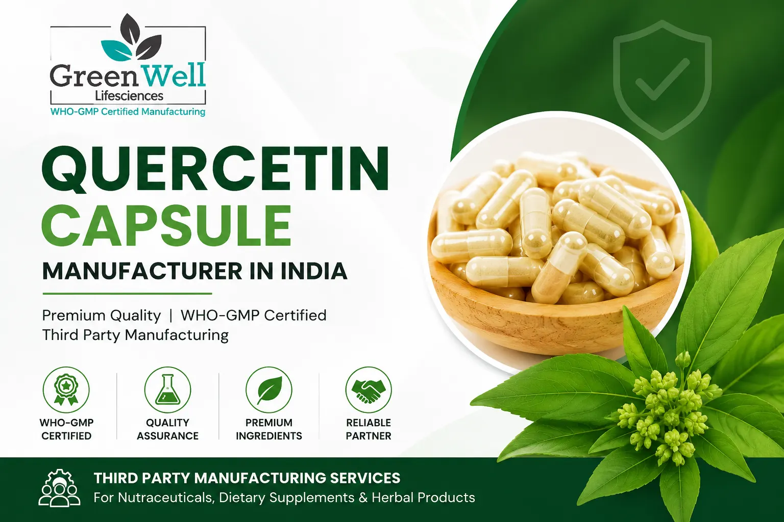 Quercetin Capsule Manufacturer in India